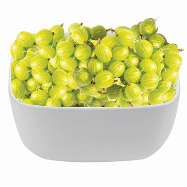 Agrest 10kg MROŻONY